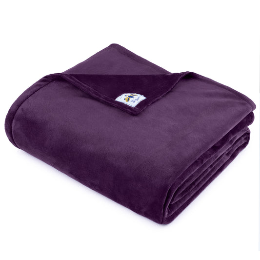 SwaddleBee Jewel Purple BiggerBee Minky Throw Blanket